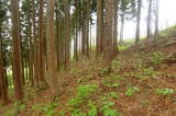 陸奥 赤石城(鰺ヶ沢町)の写真