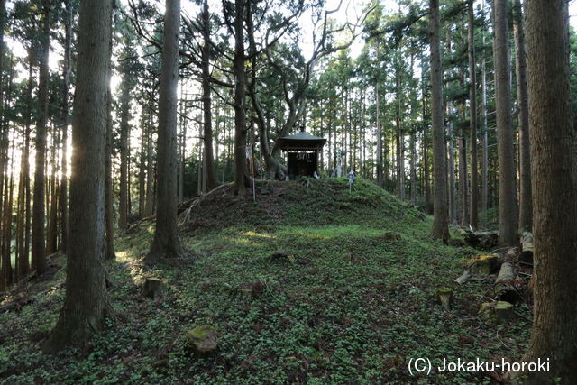 陸奥 赤岩城の写真