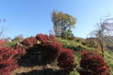 陸奥 赤坂館(鮫川村)の写真