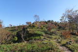 陸奥 赤坂館(鮫川村)の写真