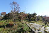 陸奥 赤坂館(鮫川村)の写真