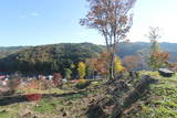 陸奥 赤坂館(鮫川村)の写真