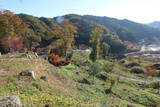 陸奥 赤坂館(鮫川村)の写真