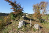 陸奥 赤坂館(鮫川村)の写真