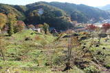 陸奥 赤坂館(鮫川村)の写真