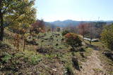 陸奥 赤坂館(鮫川村)の写真