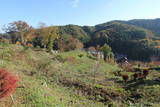 陸奥 赤坂館(鮫川村)の写真