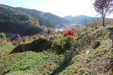 陸奥 赤坂館(鮫川村)の写真