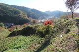 陸奥 赤坂館(鮫川村)の写真