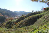 陸奥 赤坂館(鮫川村)の写真