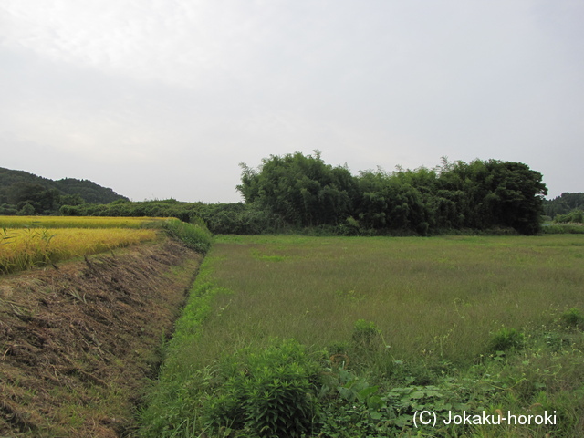 陸奥 穴沢館の写真