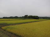 陸奥 穴沢館の写真
