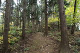 陸奥 青山城の写真