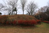 陸奥 浅川城の写真