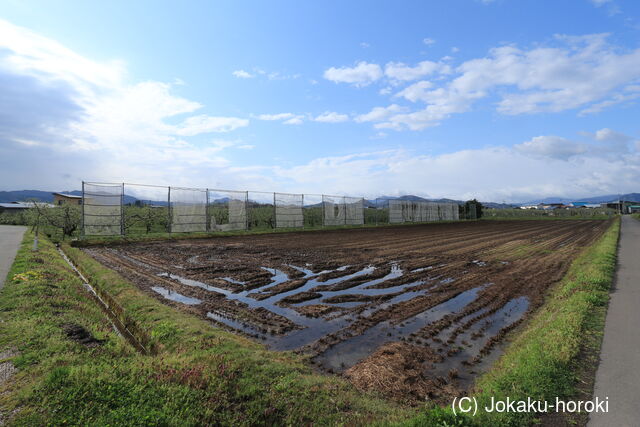 陸奥 飛鳥館の写真