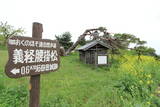 陸奥 阿津賀志山防塁の写真