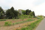 陸奥 伊達崎城の写真