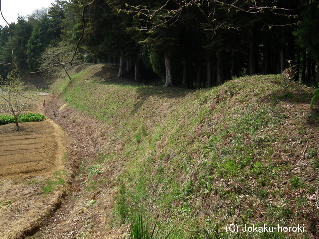 陸奥 中館(鹿島町)の写真