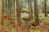 陸奥 元城(深浦館)の写真