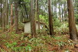 陸奥 元城(深浦館)の写真