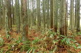 陸奥 元城(深浦館)の写真