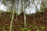 陸奥 元城(深浦館)の写真