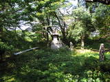 陸奥 八幡崎城の写真