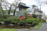 陸奥 花巻城の写真