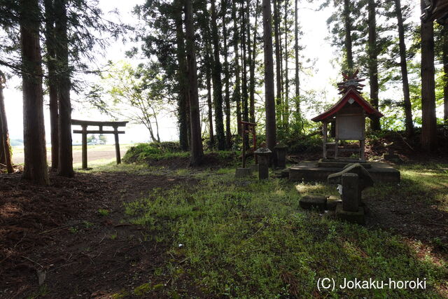 陸奥 橋爪館(熊野神社)の写真