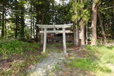 陸奥 橋爪館(熊野神社)の写真