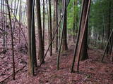 陸奥 小屋山館の写真