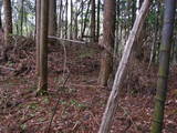 陸奥 小屋山館の写真