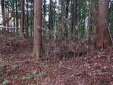 陸奥 小屋山館の写真