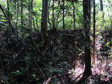 陸奥 高館(平泉町)の写真