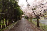 陸奥 沼館(平内町)の写真