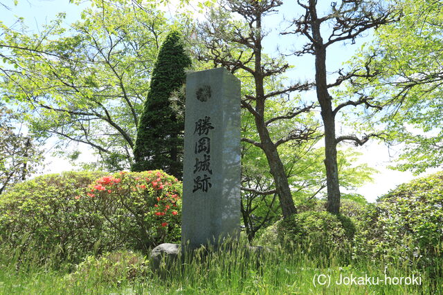 陸奥 平沢要害の写真