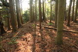 陸奥 広田城の写真