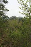 陸奥 久川城の写真