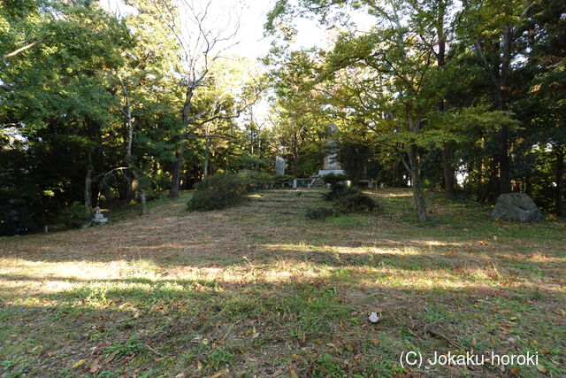 陸奥 飯野平城(大館城)の写真
