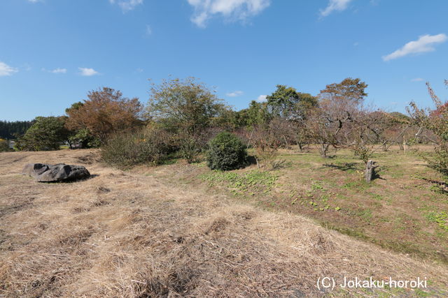 陸奥 池田古館の写真