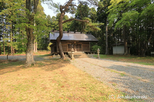 陸奥 猪川城の写真