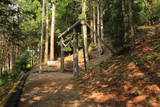 陸奥 猪川城の写真