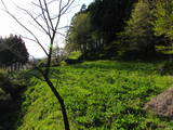 陸奥 藤田城の写真