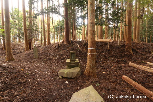 陸奥 石森城(石巻市)の写真