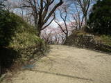 陸奥 岩出山城の写真