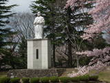 陸奥 岩出山城の写真