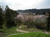 陸奥 岩出山城の写真