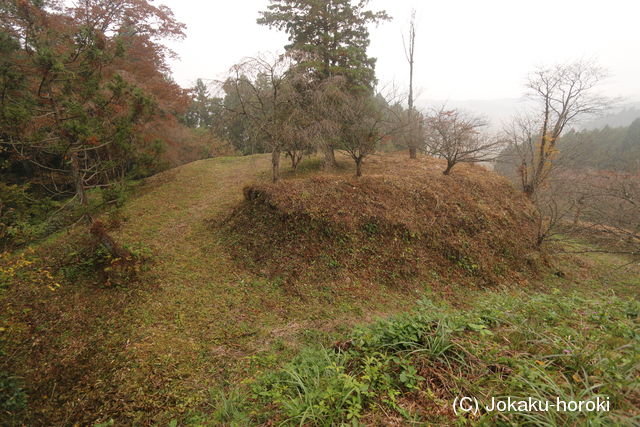 陸奥 葛岡城(岩出山町)の写真