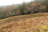 陸奥 葛岡城(岩出山町)の写真