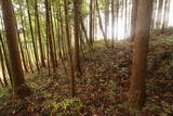 陸奥 馬館(岩出山町)の写真